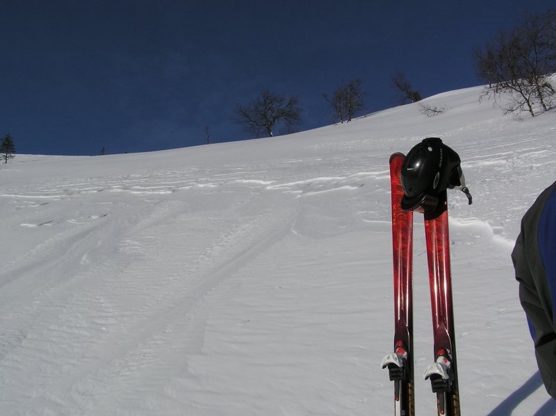 Click for the original image